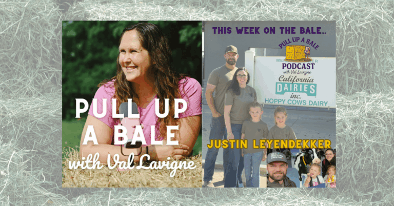 Talk Hoppy Cows with Justin Leyendekker on Pull Up a Bale Podcast