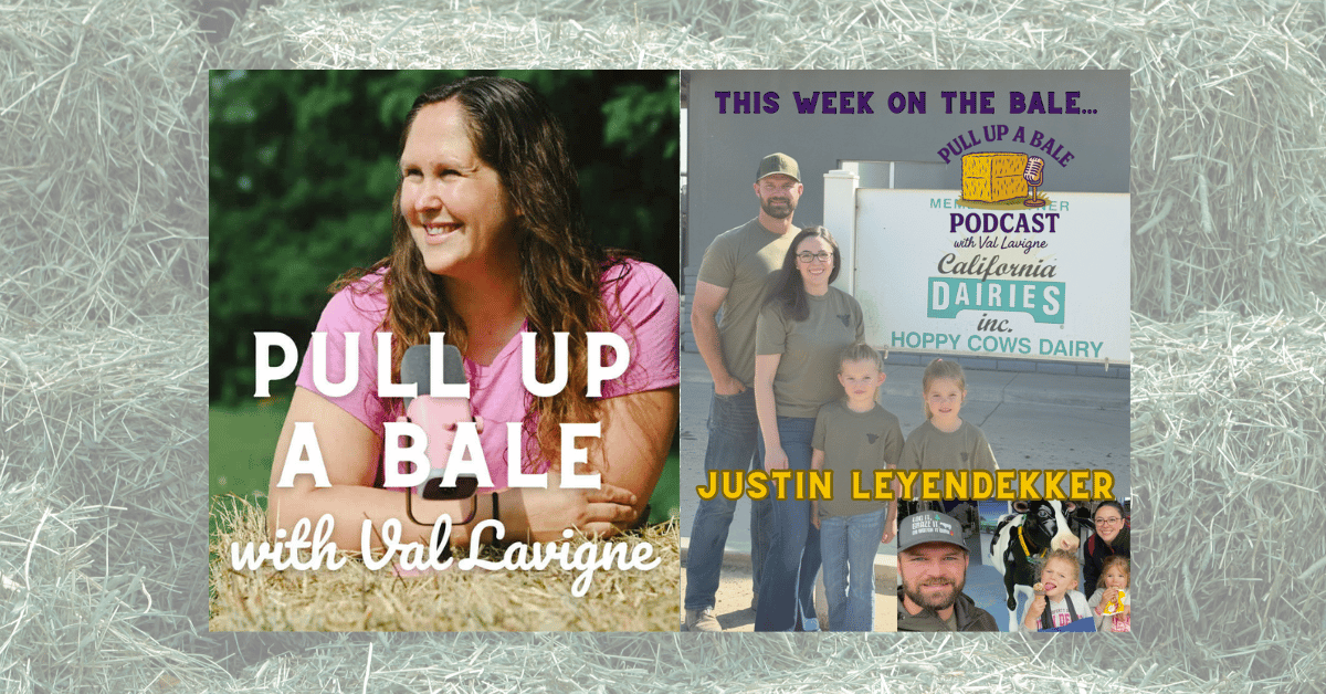 Talk Hoppy Cows with Justin Leyendekker on Pull Up a Bale Podcast