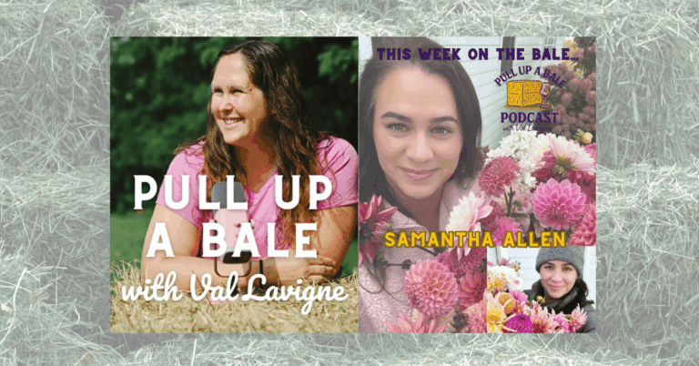 Pull Up a Bale with Samantha Allen Farming, Flowers, Family